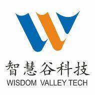 智慧谷科技