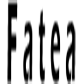 Fatea科技