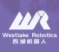 西湖机器人
