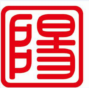 上海阳淳电子股份有限公司