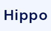 HippoAR